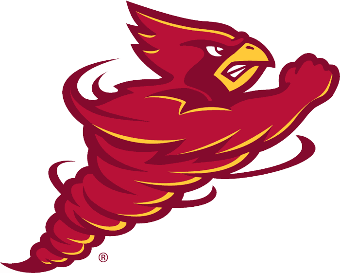 Iowa State Cyclones 2008-Pres Alternate Logo diy iron on heat transfer